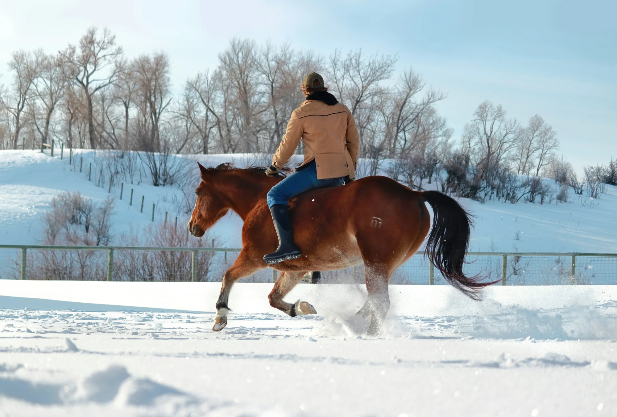 Fresh Tracks: Your 2026 Guide to Buying and Selling with Intention