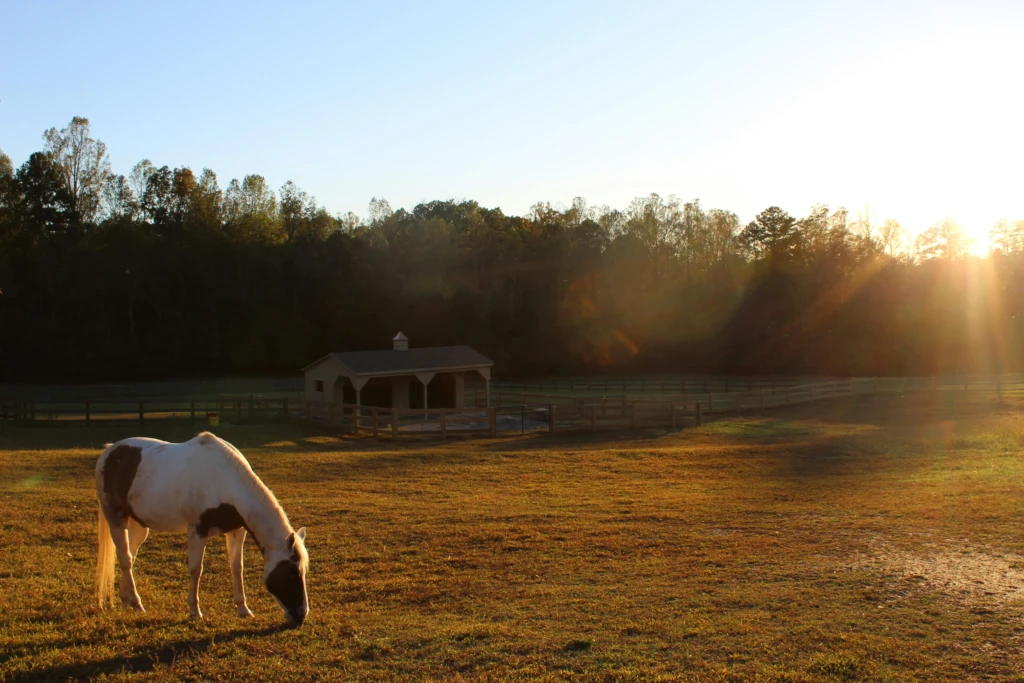 mauve-w-3iOXd1NHX-I-unsplash