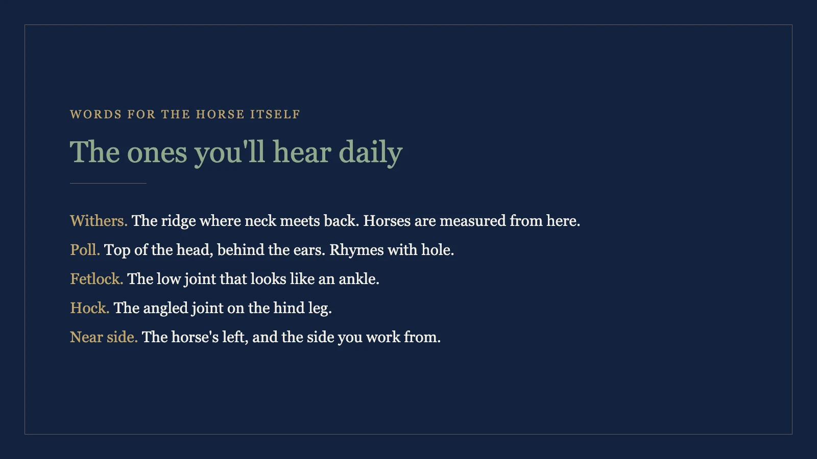 Equestrian terms for parts of the horse including withers, poll, fetlock and hock