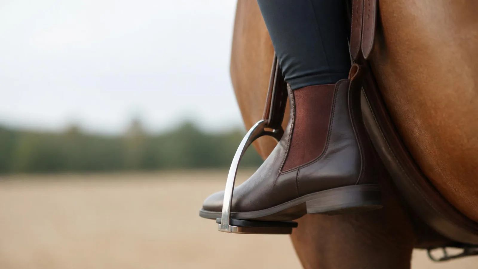 Close-up of a smooth-soled ankle boot with a small heel sitting correctly in a stirrup iron