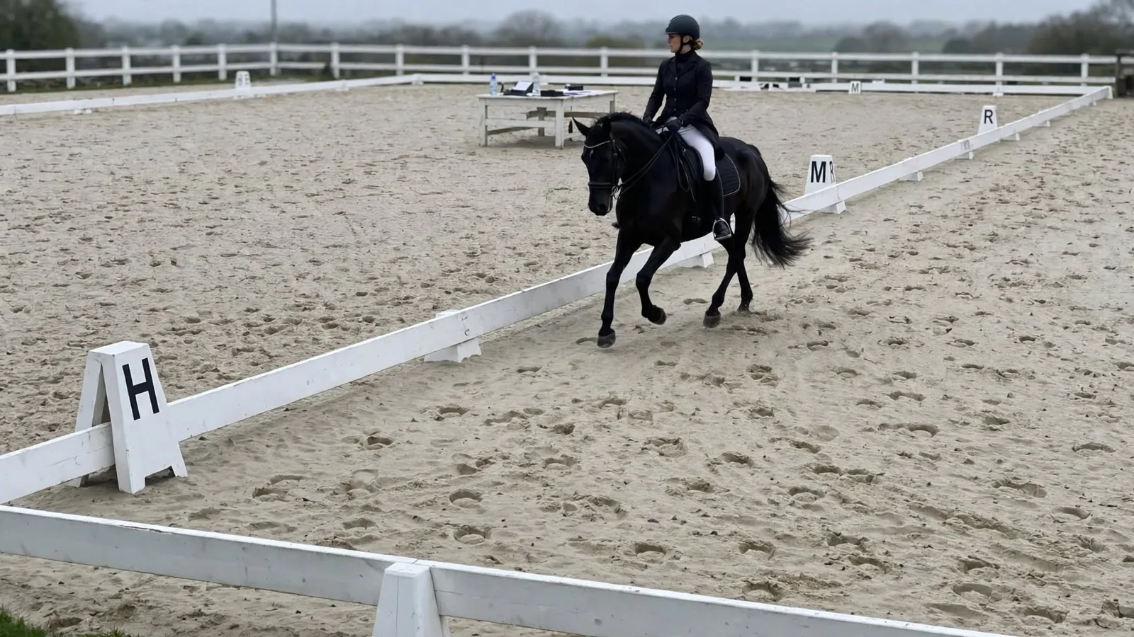 Black dressage horse trotting along the rail of a white boarded arena